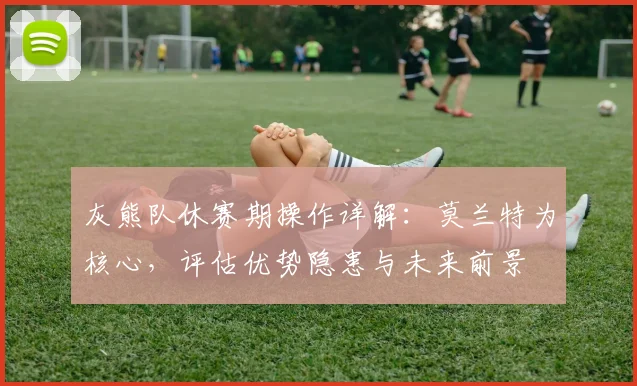 灰熊队休赛期操作详解：莫兰特为核心，评估优势隐患与未来前景