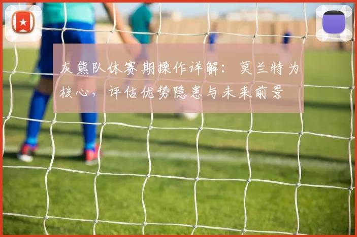 灰熊队休赛期操作详解:莫兰特为核心,评估优势隐患与未来前景